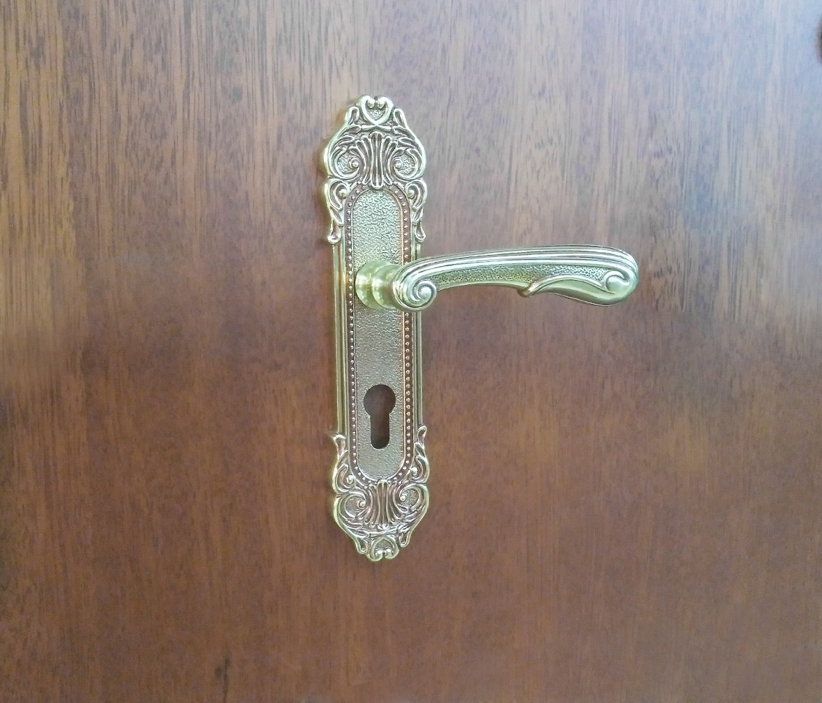 晾霸五金 米开朗MKL601-19欧洲金型号门锁 铜材质 门锁 拉丝工艺 情景 细节